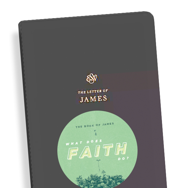 holy bible app francis chan book of james